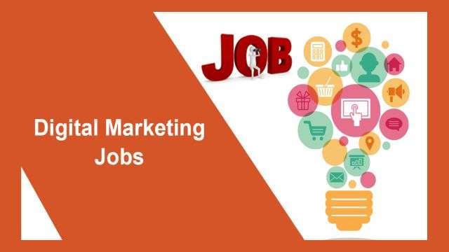 Online Digital Media Advertising Company Require Digital Marketer