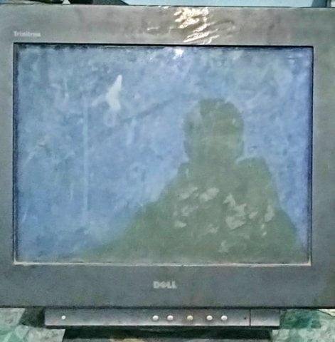 Big size DELL monitor