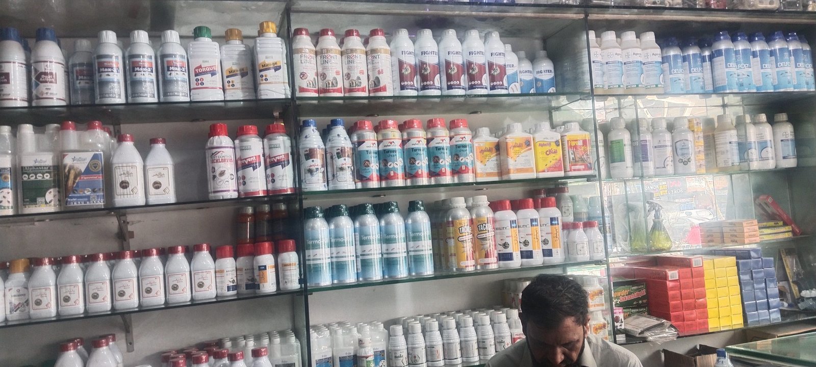 sarfraz services Dimk control & pesticides
