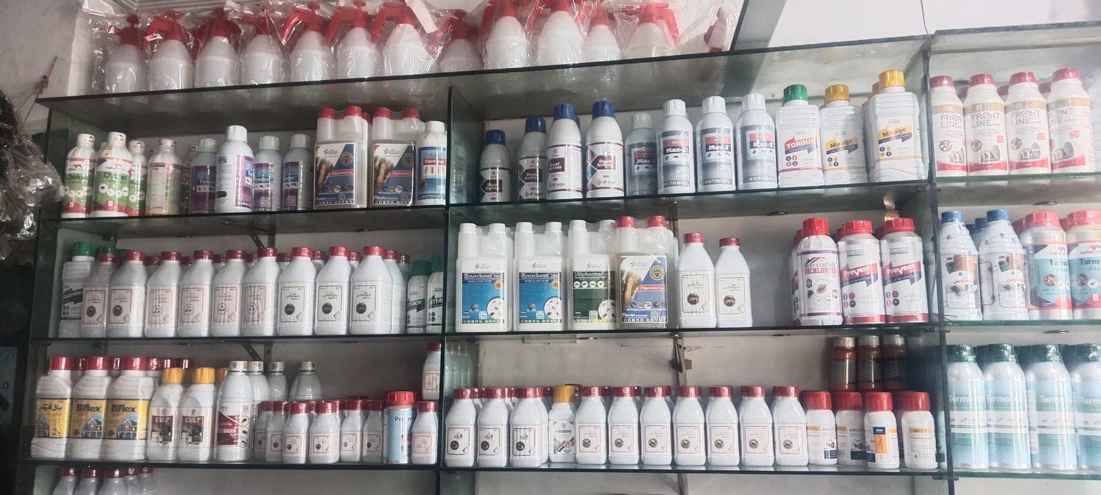 sarfraz services Dimk control & pesticides