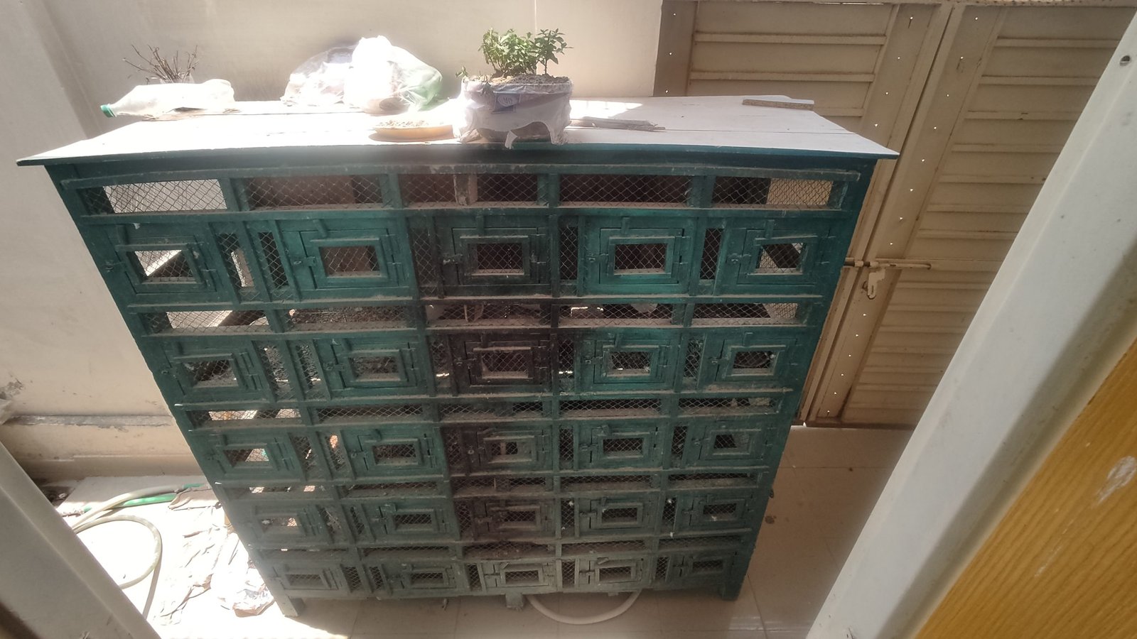 Wooden cage for lovebirds