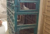 Wooden cage for lovebirds