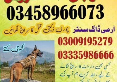 344243406_215856601175825_1579556961857808509_n