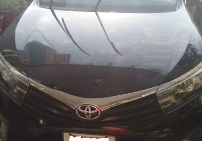 IMG-20231212-WA0044