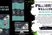 Website development, designing and error fixing services