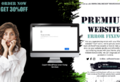 Website development, designing and error fixing services