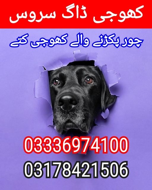 Army dog center kohat 03336974100