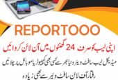Reportoo Lab Software