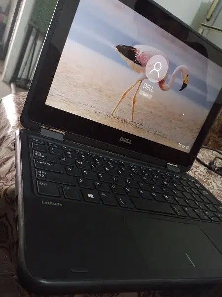 Dell Latitude for sale