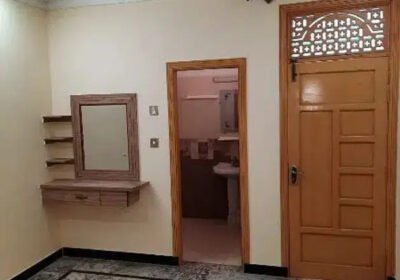 434341981-800×600-1