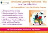 Business Analytics Training Course in Delhi, SLA Course,