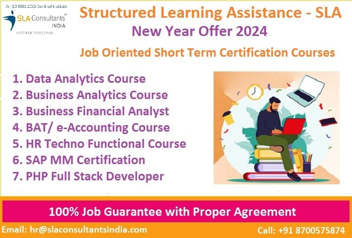Business Analytics Training Course in Delhi, SLA Course,