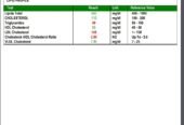 Reportoo Lab Software