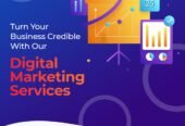 Best SEO & Digital Marketing Services In India