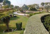 10 Marla Plot For Sale