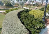 10 Marla Plot For Sale