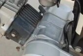 Honda cd 70 2019