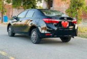 XLI auto 2019(Total original)