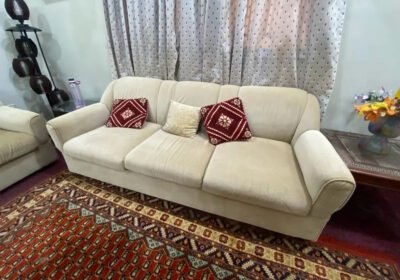 446796263-800×600-1