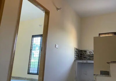 448504349-800×600-1