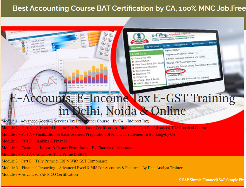Accounting Training Course in Delhi, 110001, with Free SAP