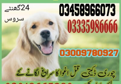 1000001414