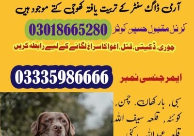 374184390_122102953430026950_1691822640841886124_n