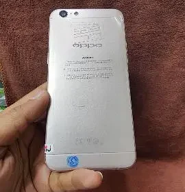 448303784-800×600-1
