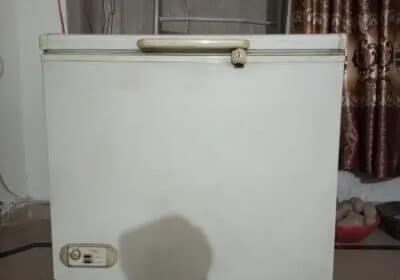 452168359-800×600-1
