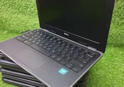 453753344-800×600-1