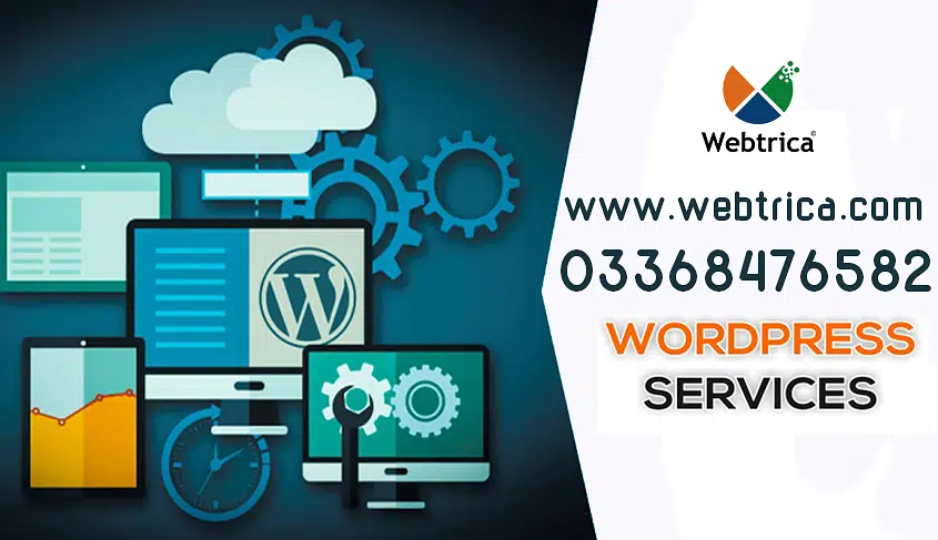 Website Development and Designing Graphic Designing Digital