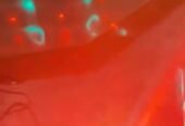 Illuminate Your Party with Stunning Disco Lights Illuminate Your Party with Stunning Disco Lights