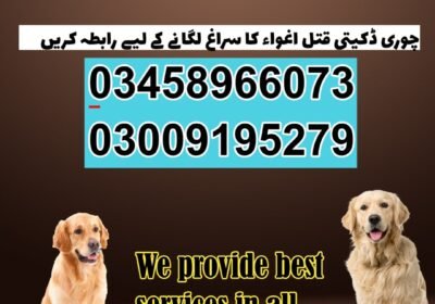 1000003201