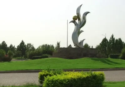 458715774-800×600-1