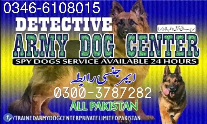 Army Dog Center landi kotal 0340-4081110