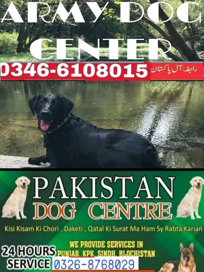 Army dog center Rawalpindi 0300-3787282
