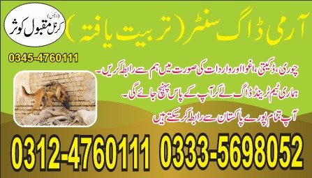 Army Dog Center 03335698052