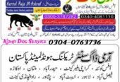 Army dog center Rawalpindi 0300-3787282
