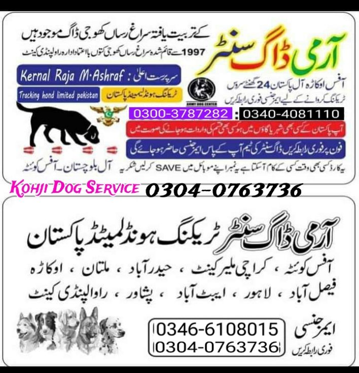 Army dog center Rawalpindi 0300-3787282