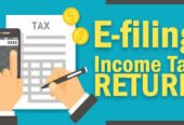 Income Tax Return File ( Filler )