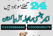 Army Dog Center Muzaffarabad 03458966073 | Khoji Dogs