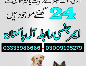 03335986666