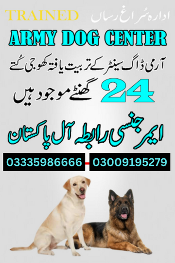 Army Dog Center Muzaffarabad 03458966073 | Khoji Dogs