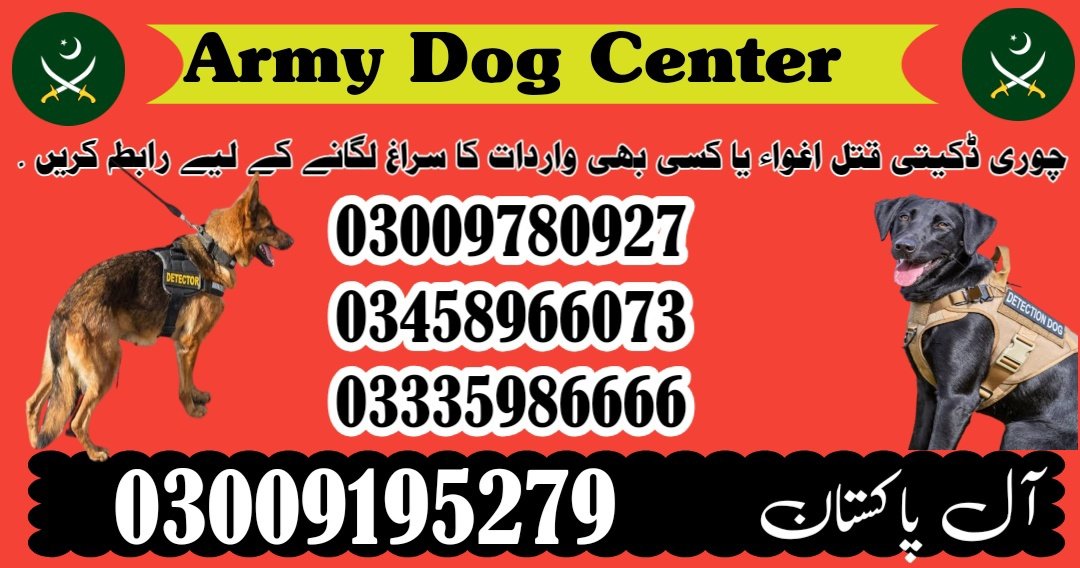 Army Dog Center Kharian 03018665280 Jhelum