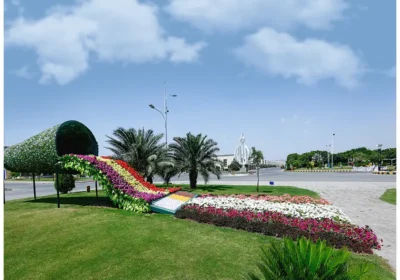 463075270-800×600-1