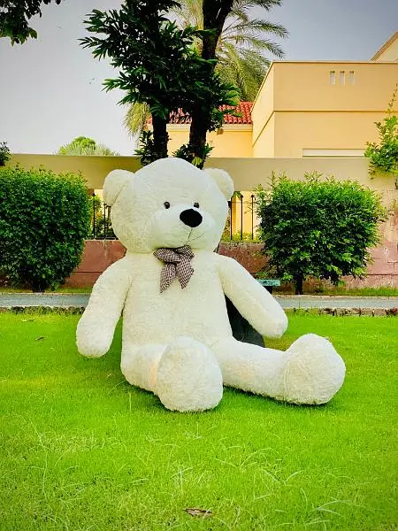 teddy bear / Giant size Teddy/ gift / Feet Teddy/Big Teddy