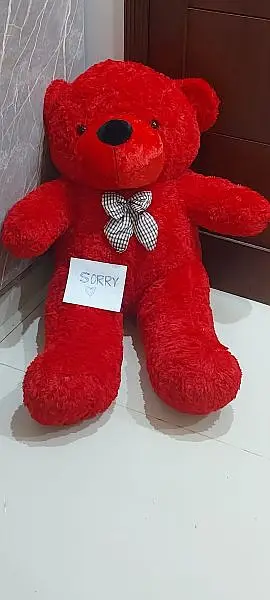 teddy bear / Giant size Teddy/ gift / Feet Teddy/Big Teddy