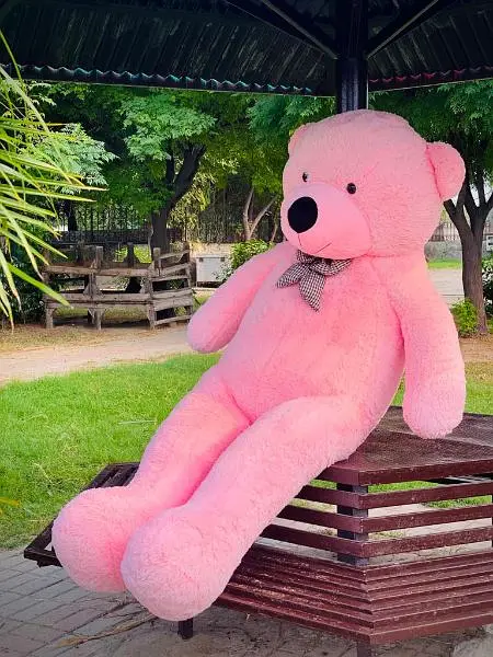 teddy bear / Giant size Teddy/ gift / Feet Teddy/Big Teddy