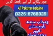 Army dog center multan 0300-3787282