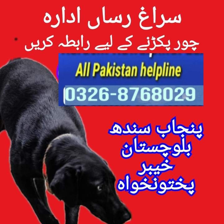 Army dog center multan 0300-3787282